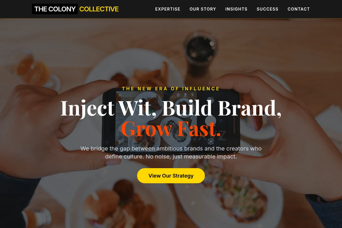 Vivid Influencer Marketing
